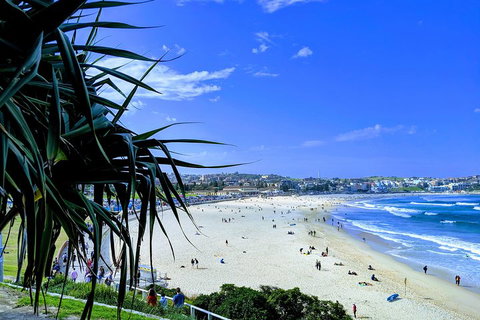 Sydney Secrets & Bondi Private 4 Hour Afternoon With 'Personalised Sydney Tours' - Accommodation QLD 0