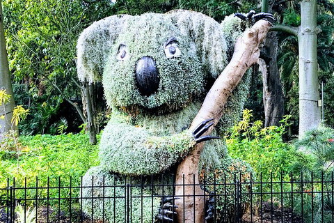 Discover Sydney - Botanic - Accommodation QLD 1