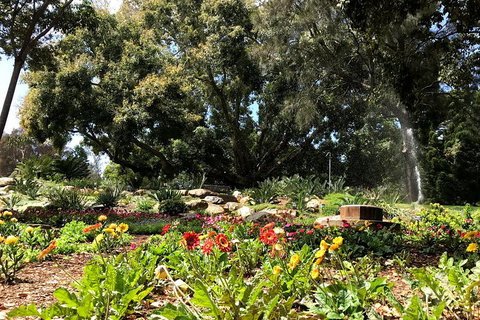 Discover Sydney - Botanic - Accommodation QLD 3