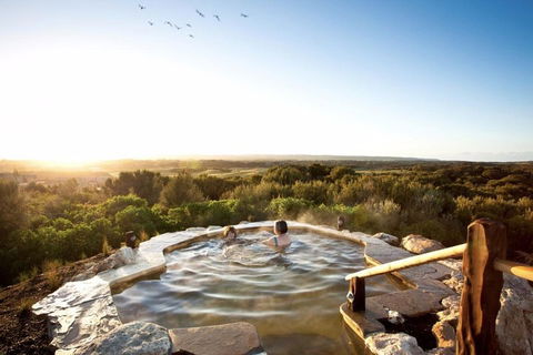 Peninsula Hot Springs & Wine Tasting - Day Tour - Accommodation QLD 0
