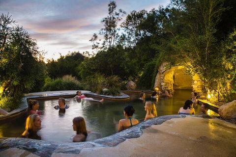 Peninsula Hot Springs & Wine Tasting - Day Tour - Accommodation QLD 3