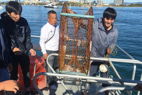 Crab Trip From Gold Coast - Accommodation QLD 1