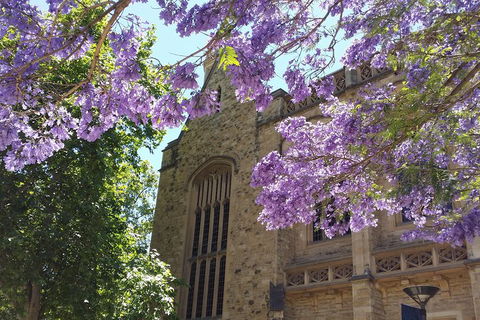 Cultural Caper Adelaide Walking Tour - Accommodation QLD 1