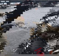 Harley Davidson Bike  Trike Tour Rides - Accommodation QLD