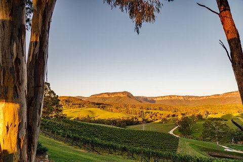 Taste Of The Blue Mountains - Lunch & Wine Tasting, Beer, Cider & Gin Tasting - Accommodation QLD 1