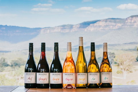 Taste Of The Blue Mountains - Lunch & Wine Tasting, Beer, Cider & Gin Tasting - Accommodation QLD 3