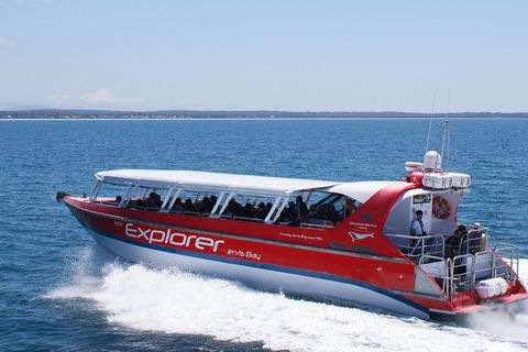 Whale Watching Jervis Bay - Accommodation QLD 1