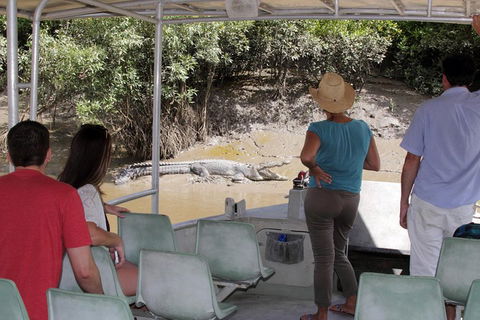 Whitsunday Crocodile Safari Including Lunch - Accommodation QLD 4