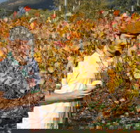 Signature Tour - Accommodation QLD