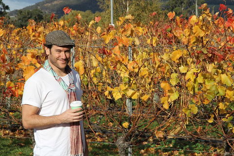 Signature Tour - Accommodation QLD 0