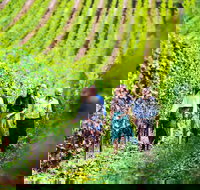 Tasmanian Wine Tour - Accommodation QLD