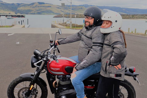 Triumph Street Scrambler 900cc - Accommodation QLD 1