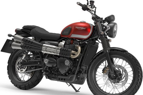 Triumph Street Scrambler 900cc - Accommodation QLD 3