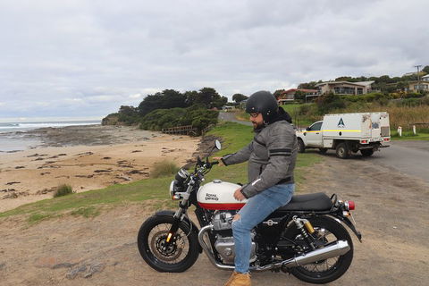 Royal Enfield Interceptor 650cc - Accommodation QLD 3