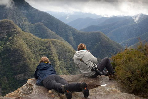 Inside The Greater Blue Mountains World Heritage - A Private Wildlife Safari Overnight - Accommodation QLD 0