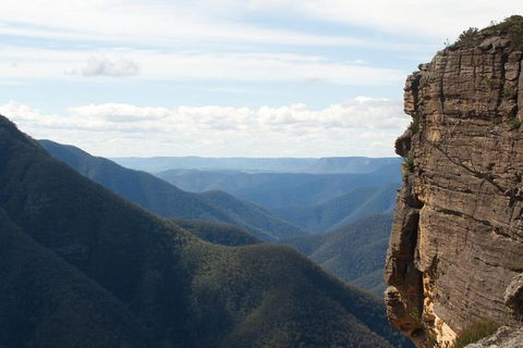 Inside The Greater Blue Mountains World Heritage - A Private Wildlife Safari Overnight - Accommodation QLD 4