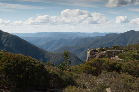 Inside The Greater Blue Mountains World Heritage - A Private Wildlife Safari Overnight - Accommodation QLD 5