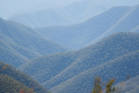 From The Mountains To The Bay - 4 Day Rediscovery Private Tour - Accommodation QLD 1
