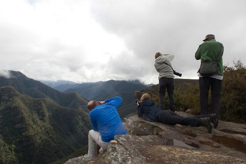 From The Mountains To The Bay - 4 Day Rediscovery Private Tour - Accommodation QLD 4