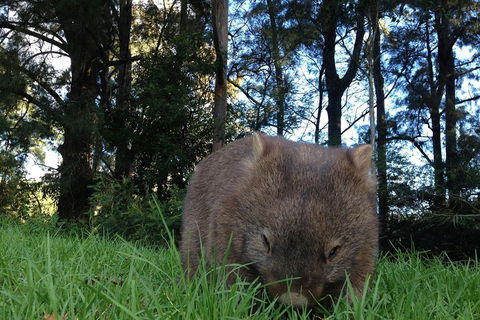 From The Mountains To The Bay - 4 Day Rediscovery Private Tour - Accommodation QLD 5