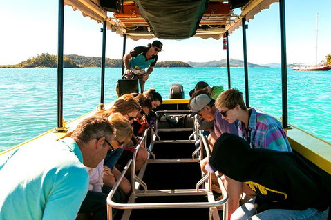Airlie Beach Glass Bottom Boat Tour - Accommodation QLD 1
