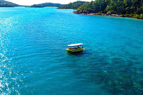 Airlie Beach Glass Bottom Boat Tour - Accommodation QLD 2