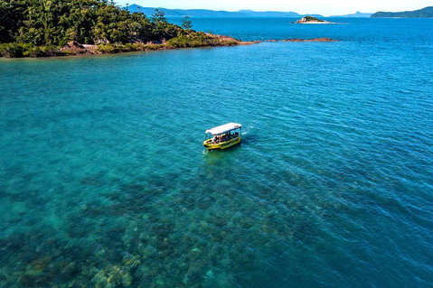 Airlie Beach Glass Bottom Boat Tour - Accommodation QLD 4