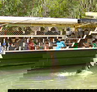 Hartley's Crocodile Adventure Half-Day Tour - Accommodation QLD