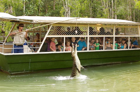 Hartley's Crocodile Adventure Half-Day Tour - Accommodation QLD 0