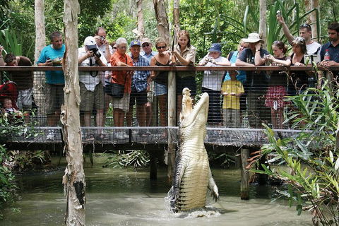 Hartley's Crocodile Adventure Half-Day Tour - Accommodation QLD 1