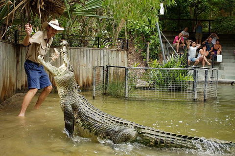 Hartley's Crocodile Adventure Half-Day Tour - Accommodation QLD 2