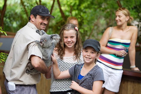Hartley's Crocodile Adventure Half-Day Tour - Accommodation QLD 3