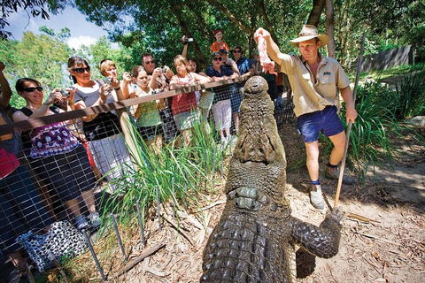 Hartley's Crocodile Adventure Half-Day Tour - Accommodation QLD 4
