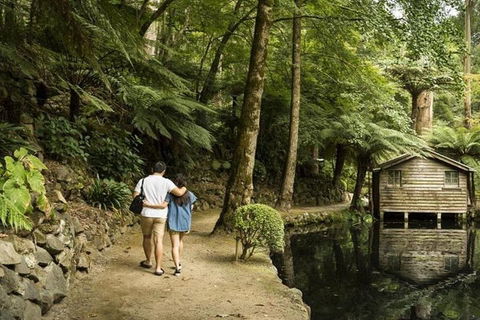 Discover Tour: Dandenong Ranges & William Ricketts Sanctuary - Accommodation QLD 0