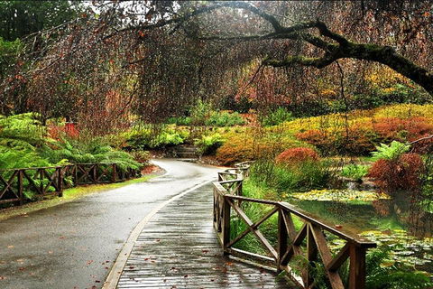 Discover Tour: Dandenong Ranges & William Ricketts Sanctuary - Accommodation QLD 3