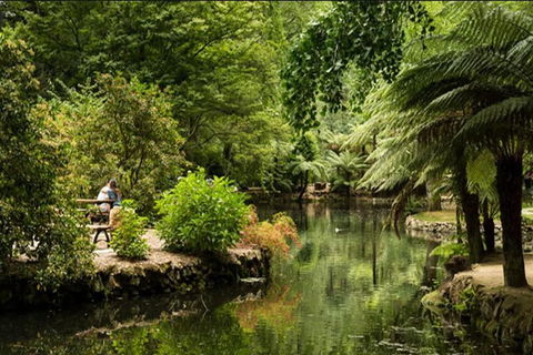 Discover Tour: Dandenong Ranges & William Ricketts Sanctuary - Accommodation QLD 4
