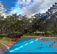 Tahune Airwalk Active Day Trip from Hobart Including Hastings Caves - Accommodation QLD