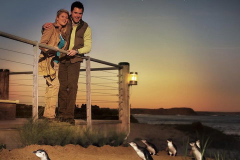 The Ultimate Melbourne Attractions Pass - Accommodation QLD 3