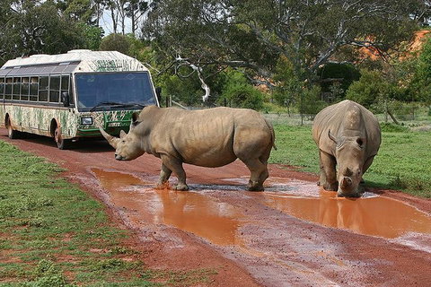 The Ultimate Melbourne Attractions Pass - Accommodation QLD 4