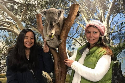 The Ultimate Sydney Attractions Pass - Accommodation QLD 1