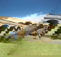 Richmond Historic Afternoon Tour from Hobart - Accommodation QLD