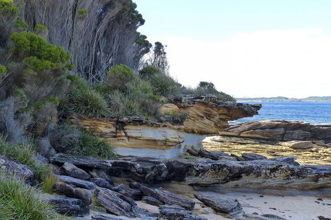 Day Trip To Cronulla & The Royal National Park - Accommodation QLD 4