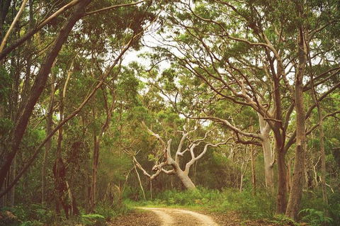 Day Trip To Cronulla & The Royal National Park - Accommodation QLD 5