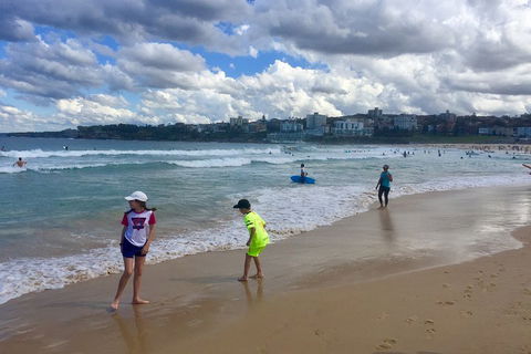 Sydney City, Harbour & Bondi Private Tour, With Airport Pick Up Or Drop Off - Accommodation QLD 2