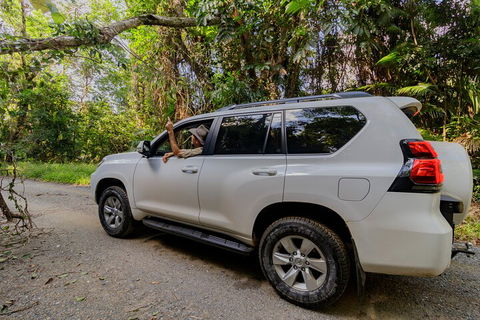 Full Day Cooktown Private Tour - Accommodation QLD 3