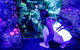 SEA LIFE Sydney Aquarium Entrance Ticket - thumb 1