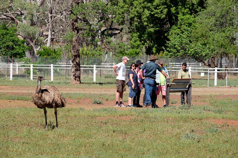Yura Udnyu - Our Culture, Your Culture (Aboriginal Cultural Walk) - Accommodation QLD 1