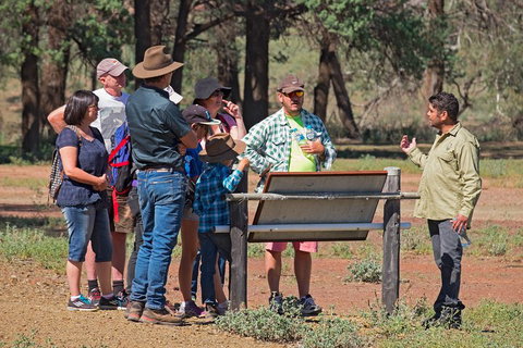 Yura Udnyu - Our Culture, Your Culture (Aboriginal Cultural Walk) - Accommodation QLD 2