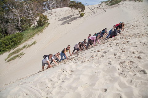 3 Day Tasmanian Wild West Coast Tour From Hobart To Launceston - Accommodation QLD 2