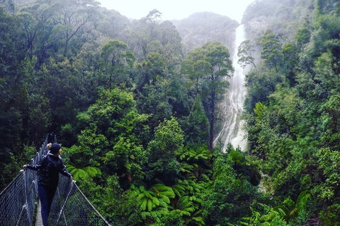 3 Day Tasmanian Wild West Coast Tour From Hobart To Launceston - Accommodation QLD 4